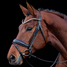 Schockemöhle SP Siena träns